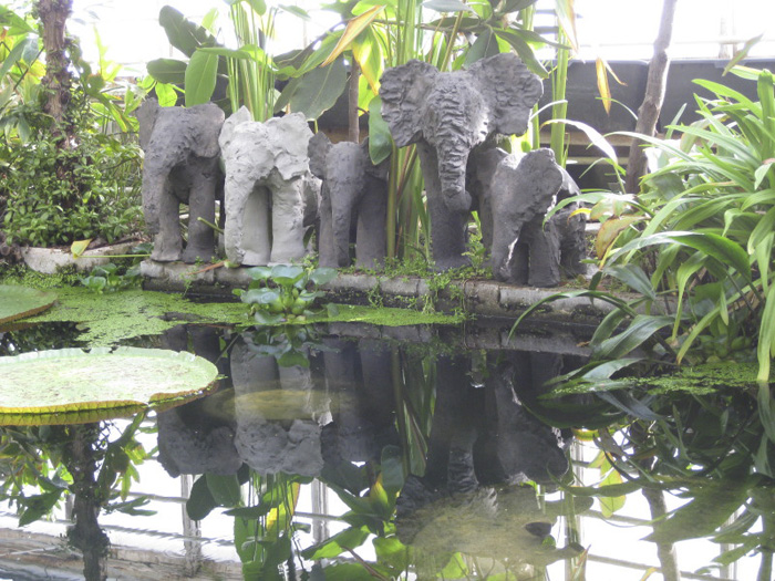 Botanisk Have, Århus